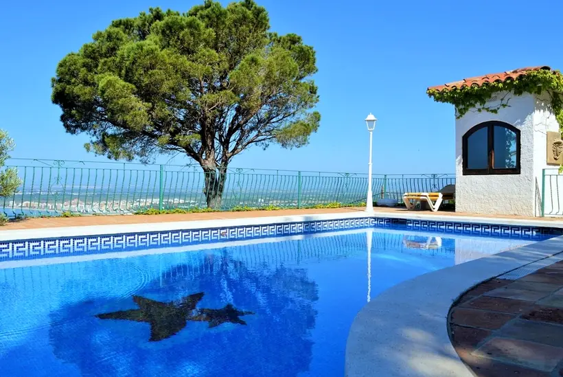 A pool with a pine tree and a sea view