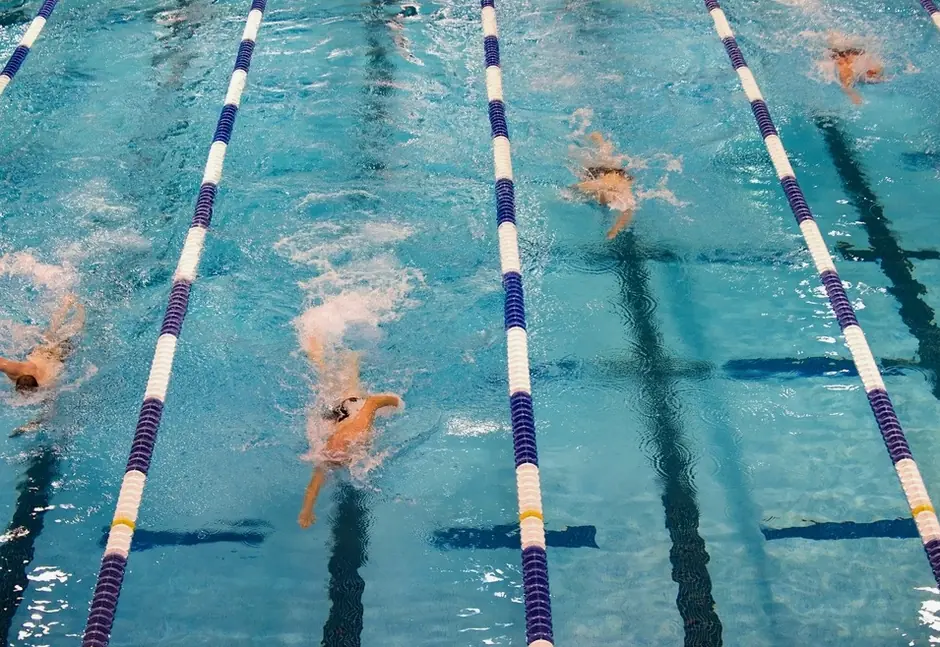 Swimmers training in lanes seen from above